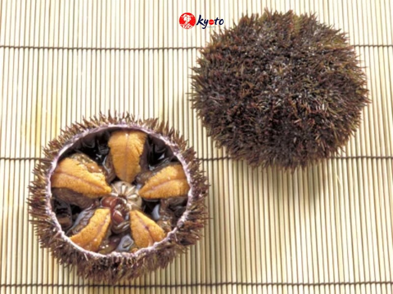 Bafun Uni – uni cầu gai Bafun