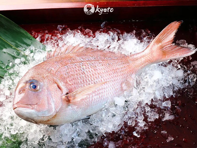 Màu sắc và hình dáng đặc trưng