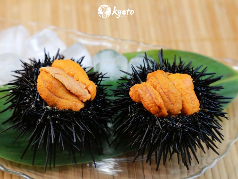 Sashimi trứng cầu gai là gì?