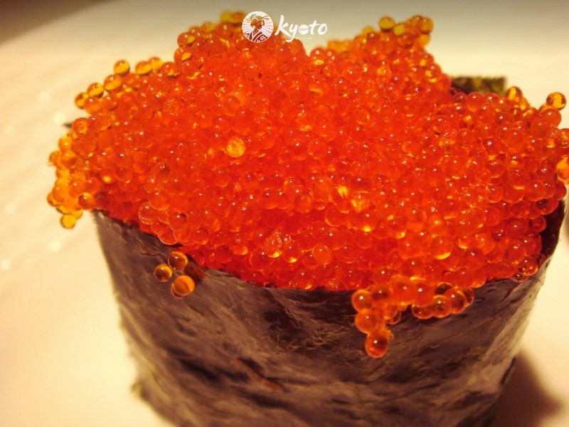 Trứng tôm là gì?