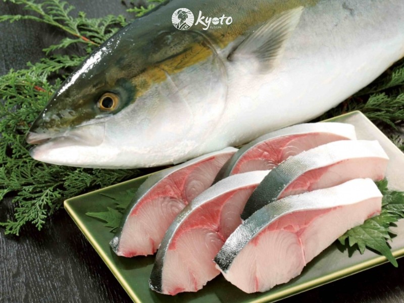 Cách chọn sashimi cá cam ngon