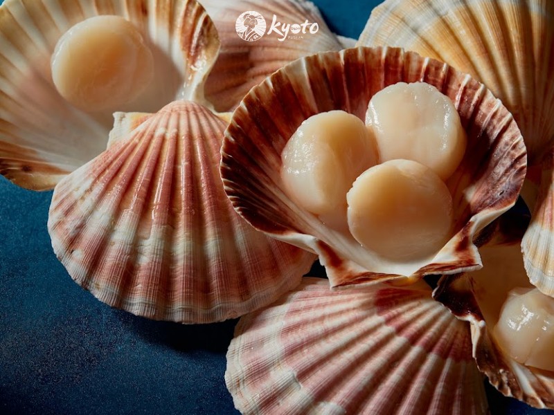Sashimi sò điệp được cắt thành những lát vừa ăn