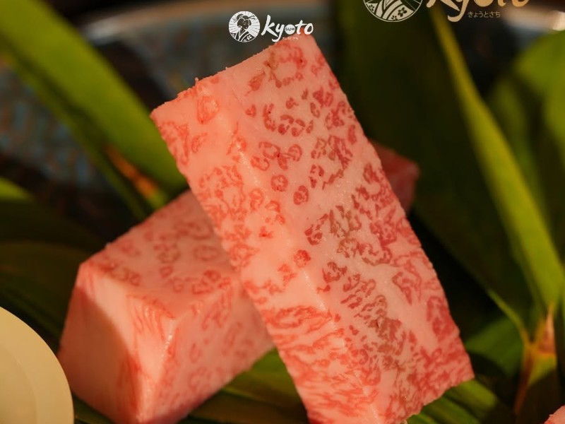 bò Wagyu/Kobe chuẩn độ vân mỡ hoàn hảo
