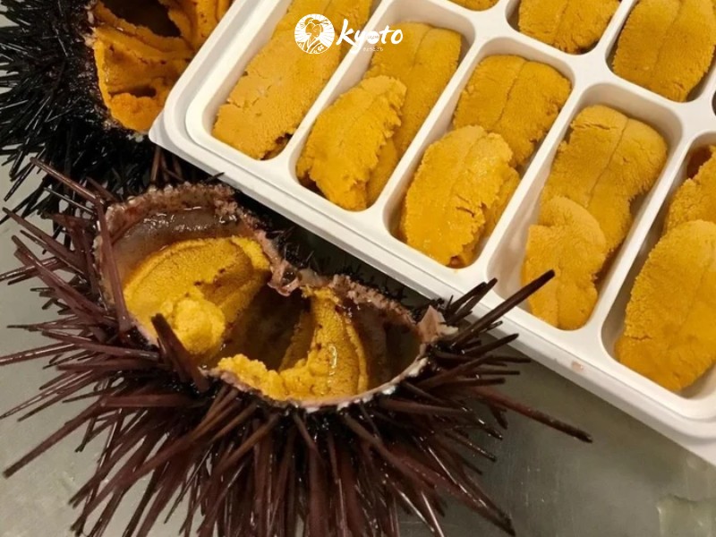 Murasaki Uni – uni cầu gai tím